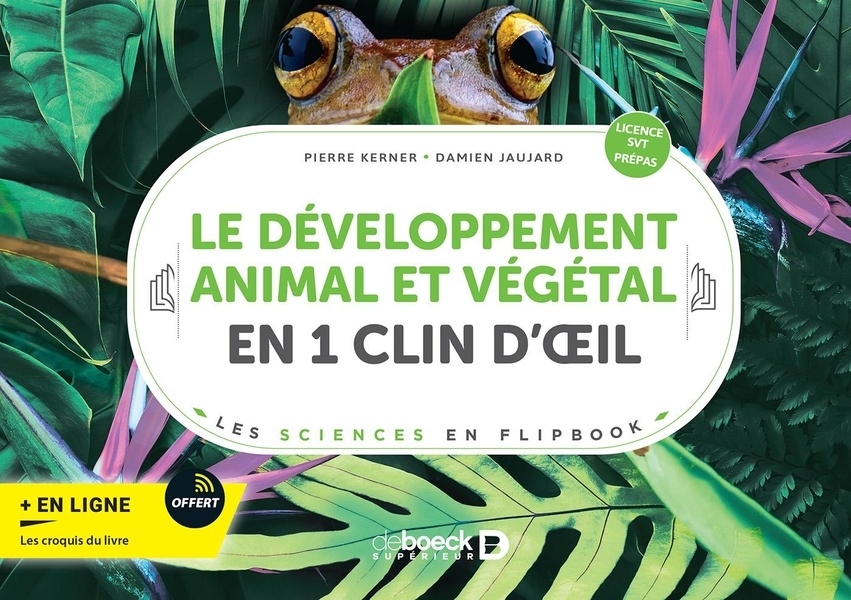 Le développement animal et végétal en 1 clin d’œil