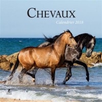 Chevaux, calendrier 2018