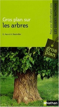 GROS PLAN SUR LES ARBRES
