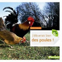 J'élèverais bien des poules !