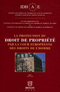 La protection du droit de propriété par la Cour européenne des droits de l'homme