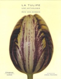 La tulipe une anthologie