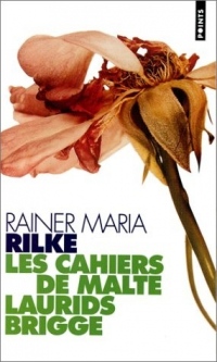 Les cahiers de Malte Laurids Brigge