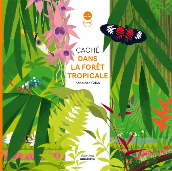 Cache Dans la Foret Tropicale