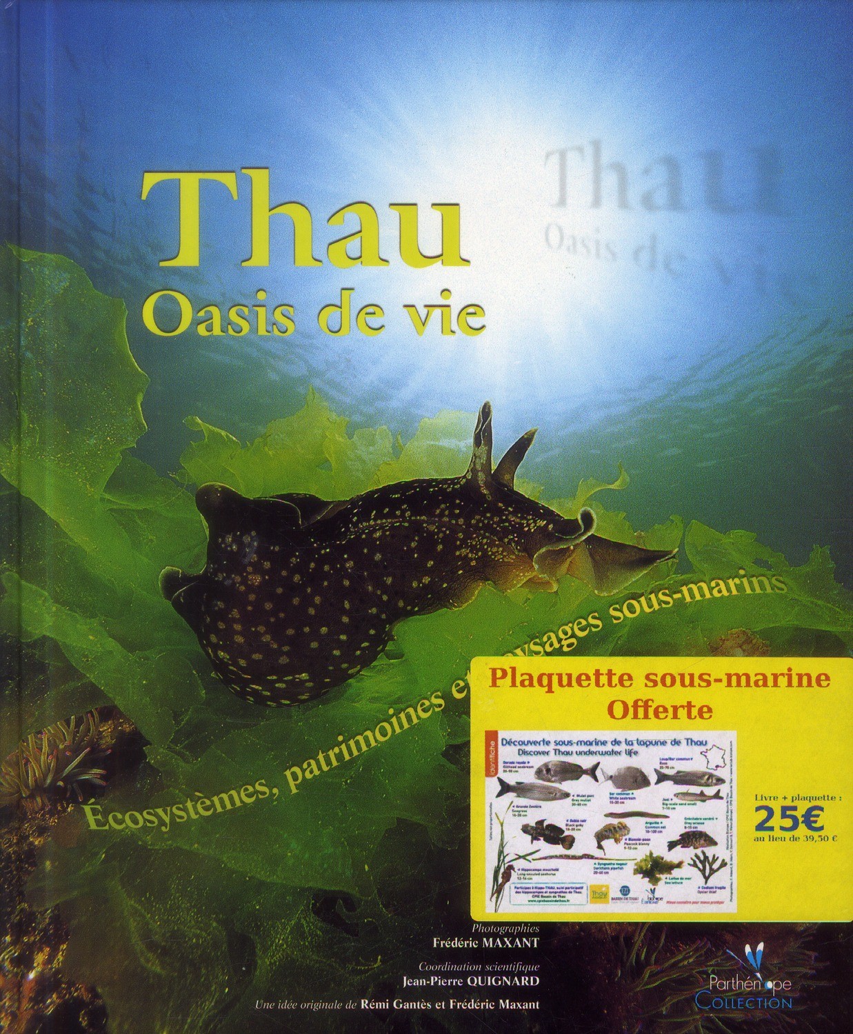 Thau, oasis de vie : Ecosystèmes, patrimoines et paysages sous-marins