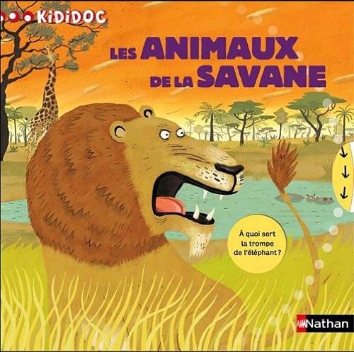 N15 - ANIMAUX DE LA SAVANE