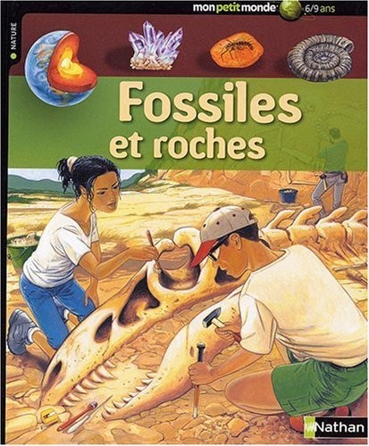 FOSSILES ET ROCHES