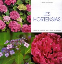 Les hortensias
