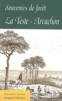Souvenirs de forêt : La Teste-Arcachon