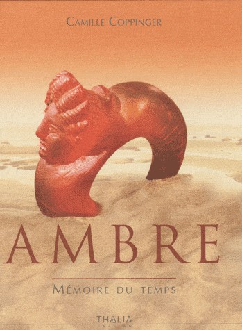 Ambre : Mémoire du temps