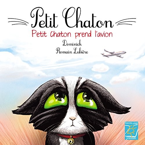 Petit chaton prend l'avion