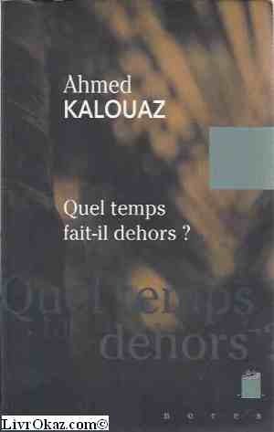 Quel temps fait-il dehors ? : [nouvelles]