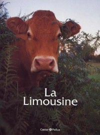 La Limousine
