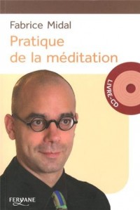 Pratique de la méditation : Un regard plus clair sur votre vie et sur le monde (1CD audio)