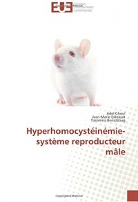 Hyperhomocystéinémie-système reproducteur mâle
