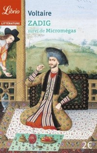Zadig ou La destinée : Suivi de Micromégas