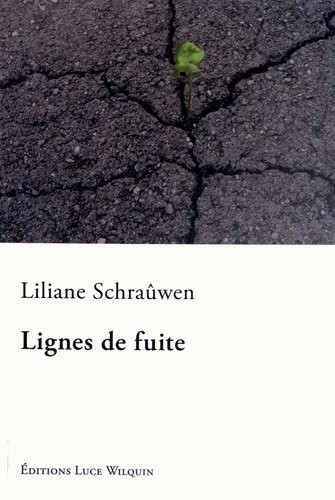 Lignes de fuite