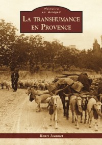 La Transhumance en Provence