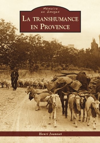 La Transhumance en Provence