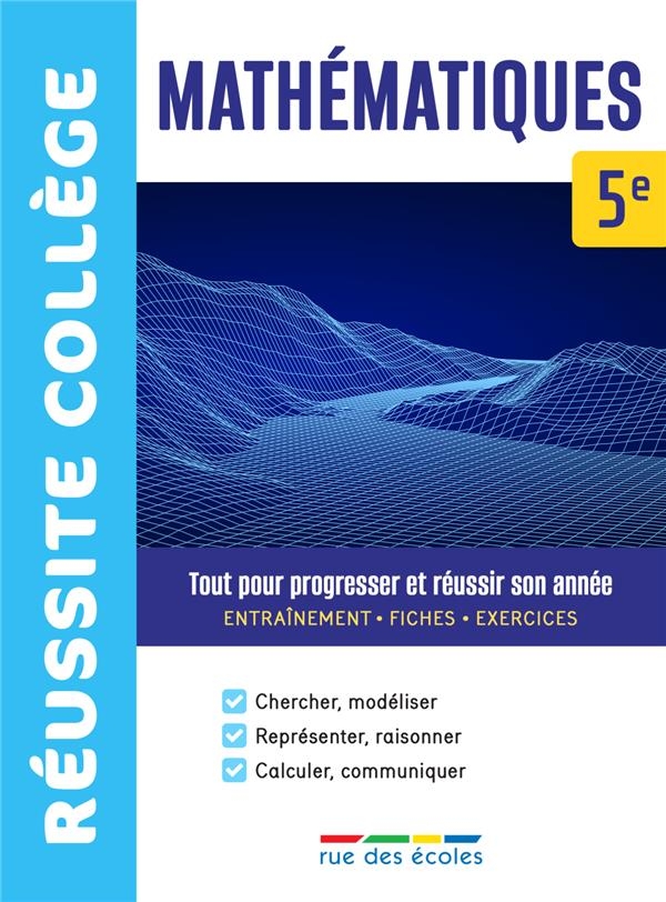 Réussite collège mathématiques 5e: Tout pour progresser et réussir son année