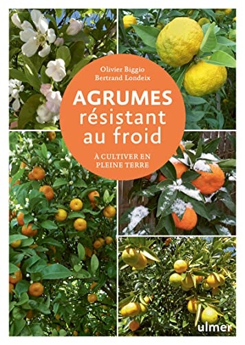 Agrumes résistant au froid - A cultiver en pleine terre