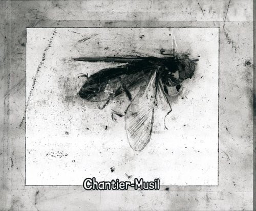 Chantier-Musil : D'après une lecture de