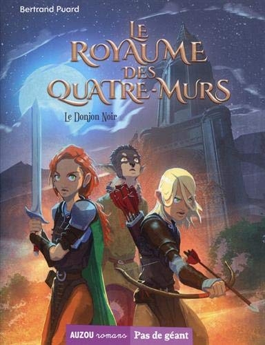 Le Royaume des Quatre-Murs : Tome 1, Le Donjon noir