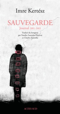 Sauvegarde : Journal 2001-2003