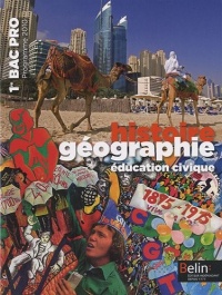Histoire Géographie Education Civique 1e Bac Pro : Manuel Petit Format, Programme 2010