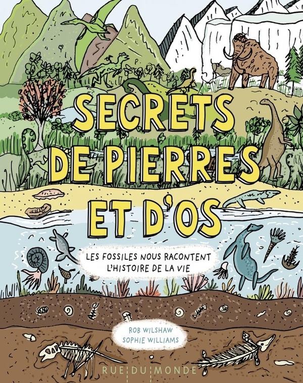 Secrets de pierres et d'os - Les fossiles nous racontent l'h