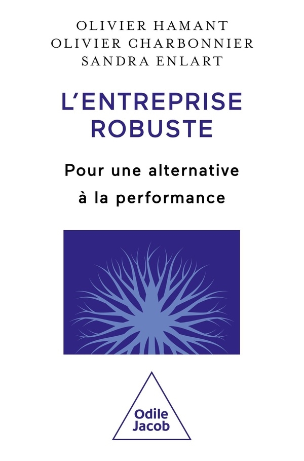 L'Entreprise robuste: Pour une alternative à la performance