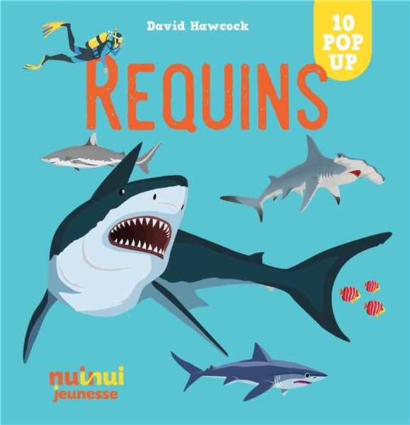 SAISISSANTS POP-UP REQUINS