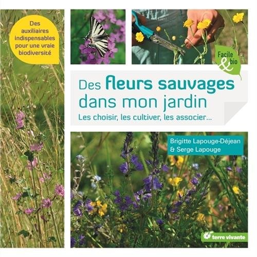 Fleurs Sauvages Dans Mon Jardin (des)