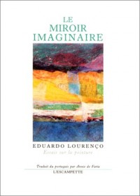 Le miroir imaginaire : Essais sur la peinture