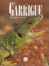 La Garrigue, grandeur nature