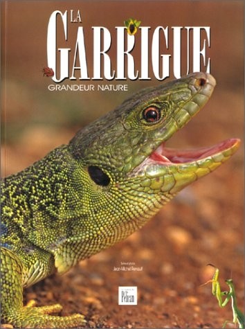 La Garrigue, grandeur nature