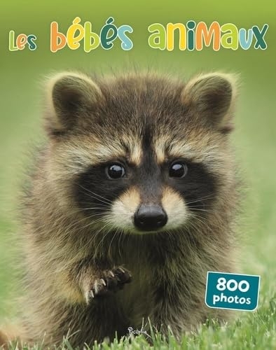 Les bébés animaux 800 photos