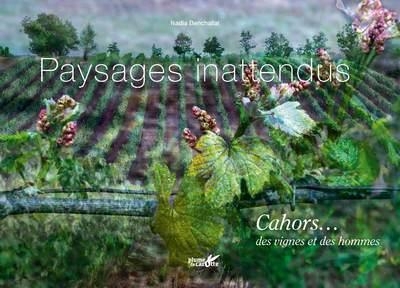 Paysages de Vignes