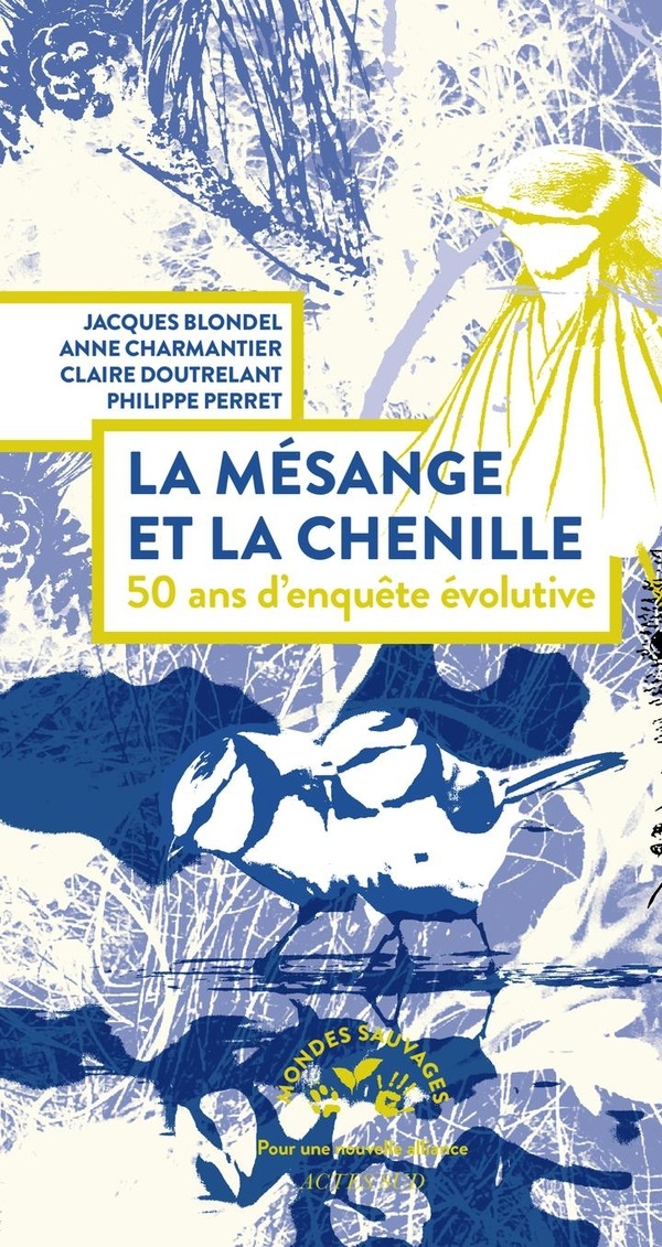 La mésange et la chenille: 50 ans d'enquête évolutive