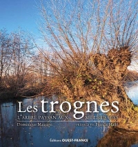 Les trognes, l'arbre paysan aux mille usages