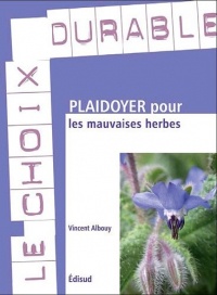 Plaidoyer pour les mauvaises herbes : 7 bonnes raisons de leur laisser une place dans votre jardin