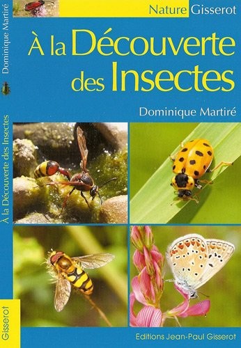 A la découverte des Insectes