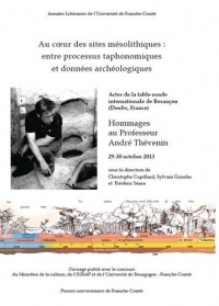 Au cœur des sites mésolithiques : Entre processus taphonomiques et données archéologiques. Hommages au professeur André Thévenin