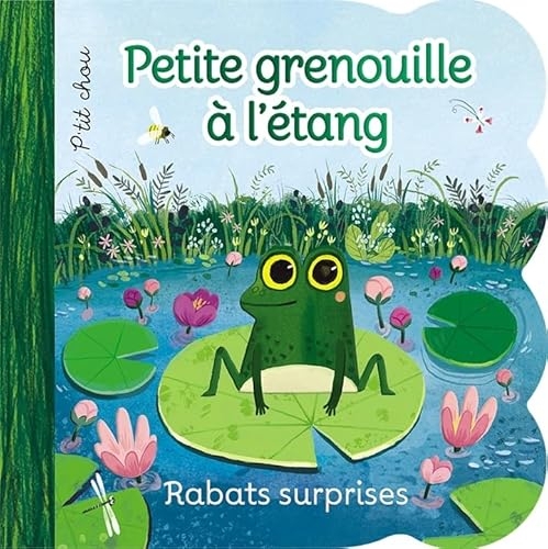 Rabats surprises Petite grenouille dans l'étang