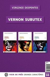 Offre découverte Vernon Subutex: 3 volumes