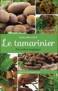 Le tamarinier - Un arbre magique