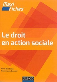 Maxi-fiches - Le droit en action sociale