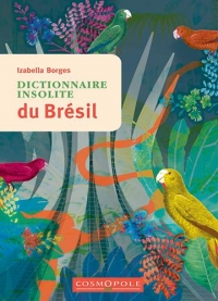 Dictionnaire insolite du Brésil