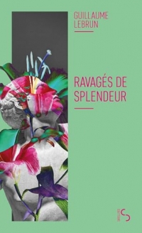 Ravagés de splendeur
