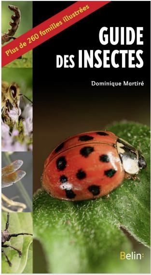 Le guide des insectes